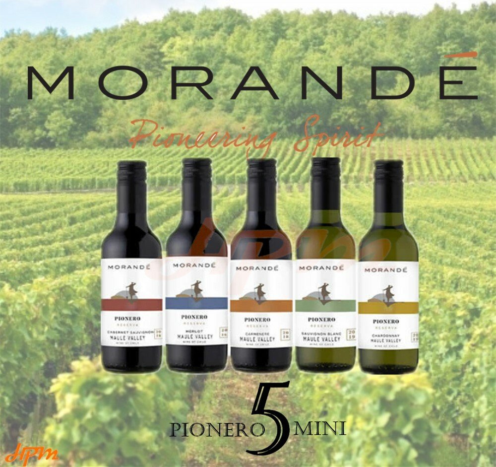 Morande Pionero 187ml (Cabernet Sauvignon/Carmenere/Merlot/Sauvignon Blanc/Chardonnay)