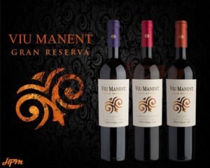 Viu Manent Gran Reserva Red Wines (Cabernet Sauvignon/Carmenere/Malbec)750ml