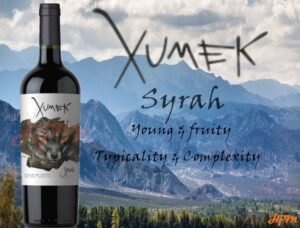 Xumek Valle De Zonda Syrah 750ml