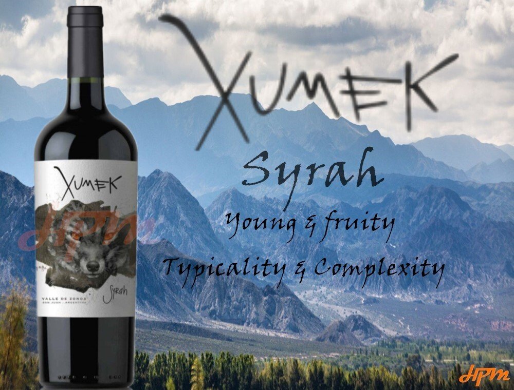 Xumek Valle De Zonda Syrah 750ml