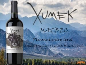 Xumez Valle De Zonda Malbec 700ml
