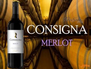 Felix Solis Consigna Merlot 750ml