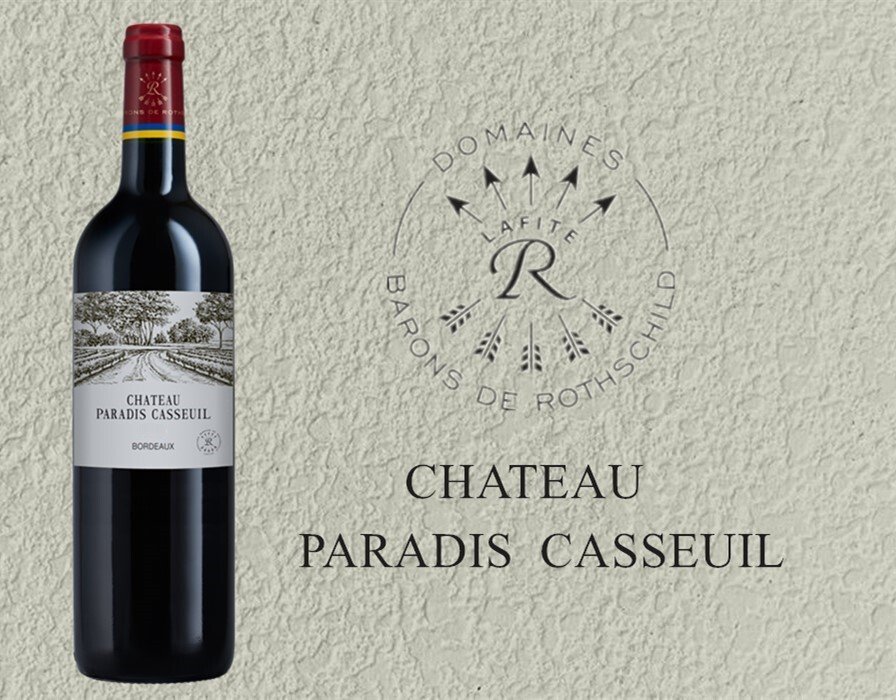 CHÂTEAU PARADIS CASSEUIL BORDEAUX 750ML