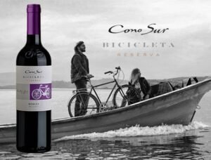 Cono Sur Bicicleta Reserva Merlot 750ml