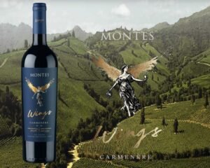 Montes Wings Carmenere 750ml