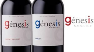 Genesis Red Wines (Cabernet Sauvignon/ Merlot) 750ml