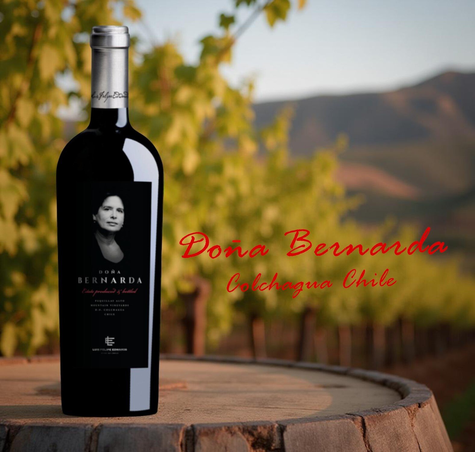 Luis Felipe Edwards Dona Bernarda Blend 750ml