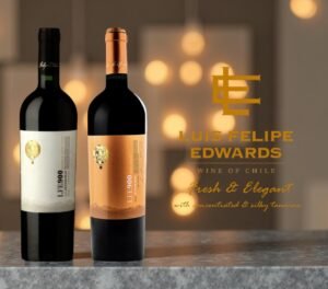 Luis Felipe Edwards LFE 900 Chilean Wines( Malbec/ Single Vineyard) 750ml